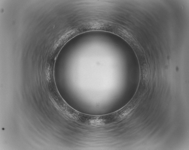 X0000056360216200508261345