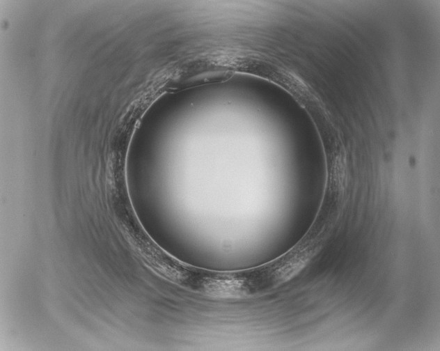 X0000056360217200508261345