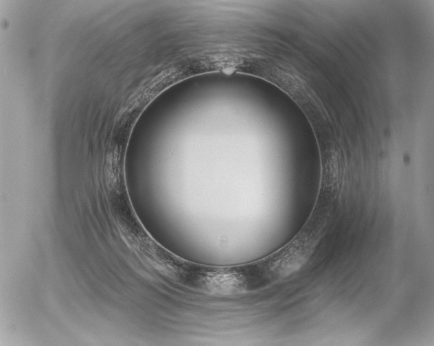 X0000056360218200508261345