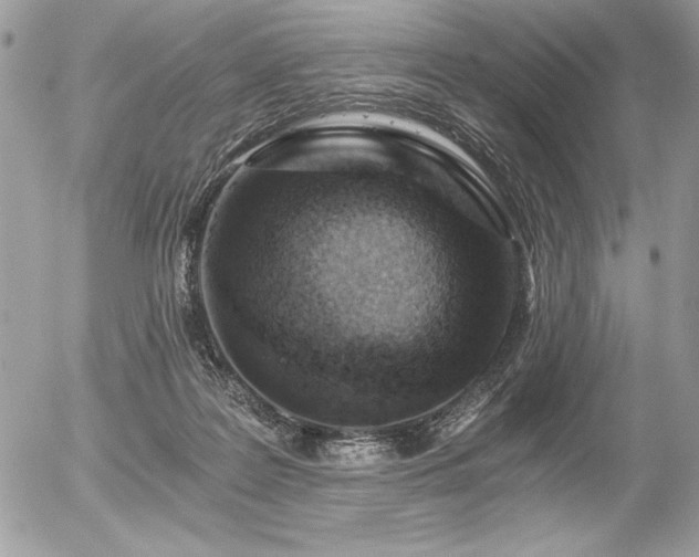 X0000056360219200508261345