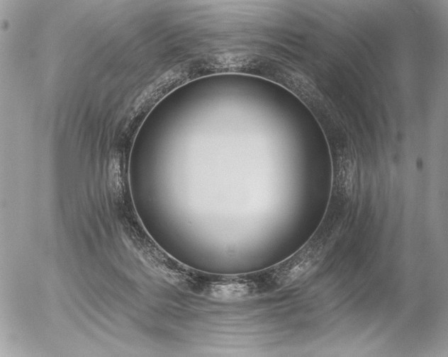 X0000056360220200508261345