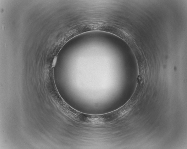 X0000056360221200508261345