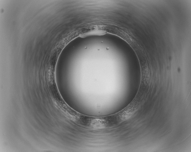 X0000056360222200508261345