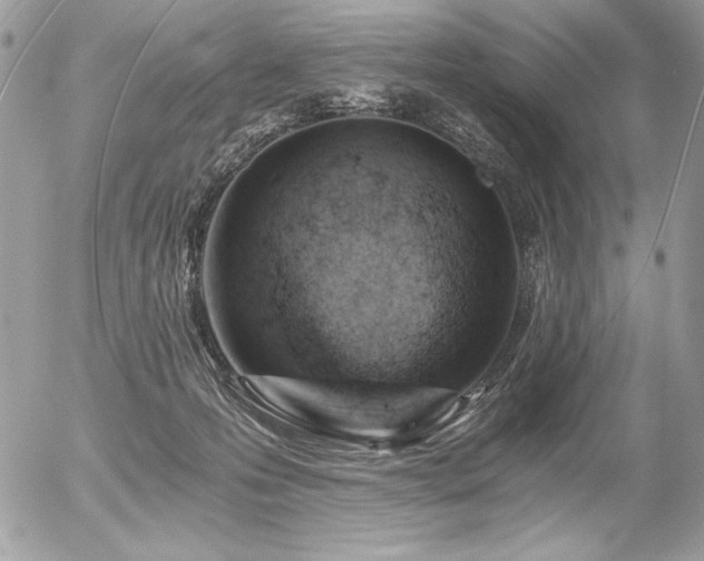 X0000056360223200508261345