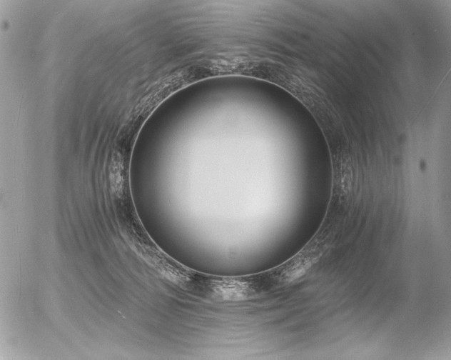 X0000056360226200508261345