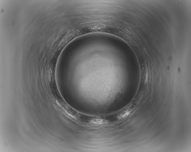 X0000056360227200508261345