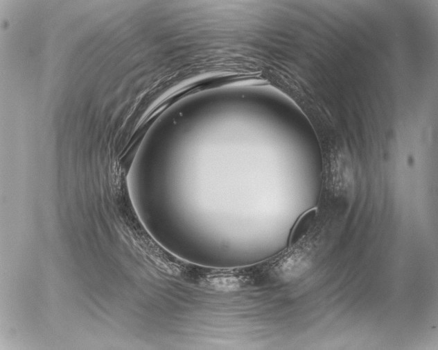 X0000056360228200508261345