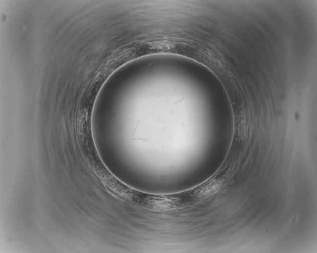 X0000056360229200508261345