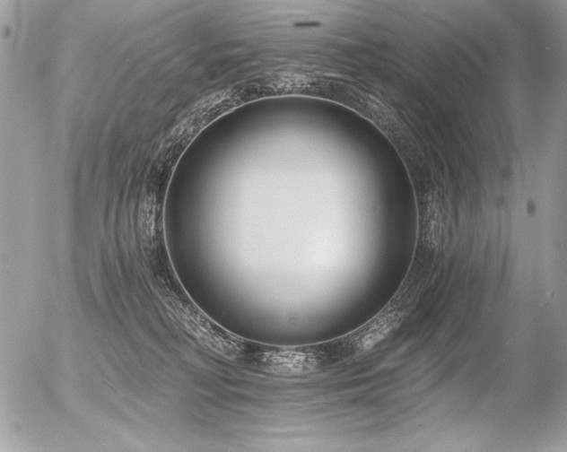 X0000056360230200508261345