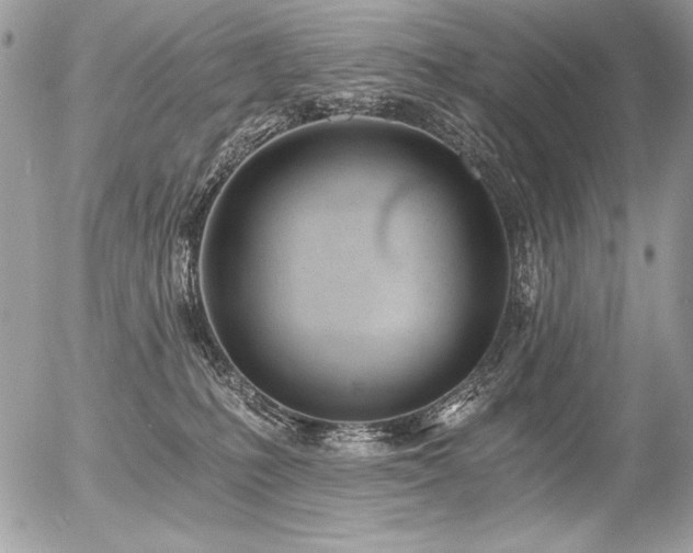 X0000056360231200508261345