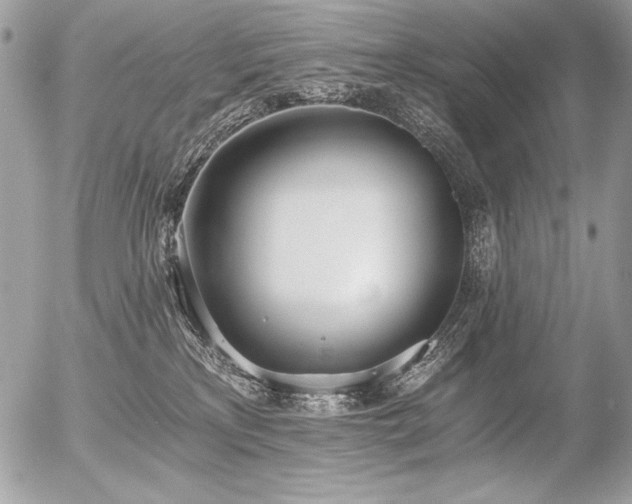 X0000056360233200508261345