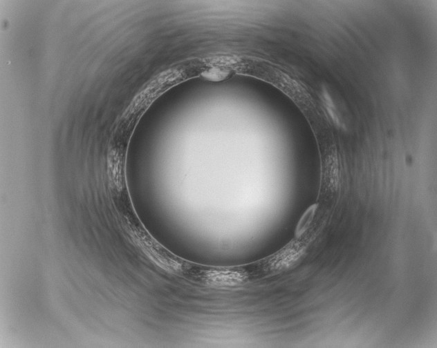 X0000056360234200508261345