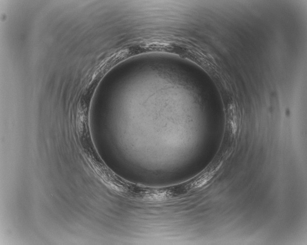 X0000056360235200508261345