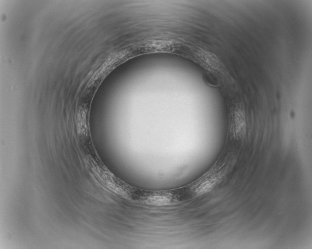 X0000056360236200508261345