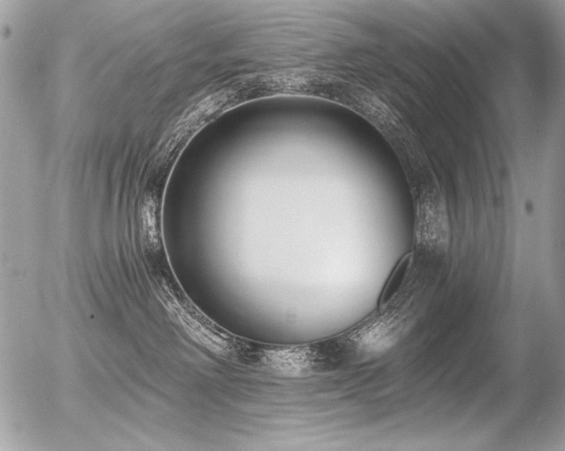 X0000056360238200508261345