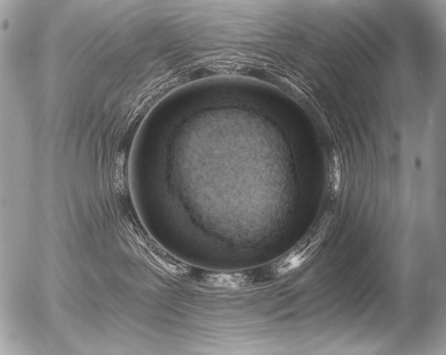 X0000056360239200508261345