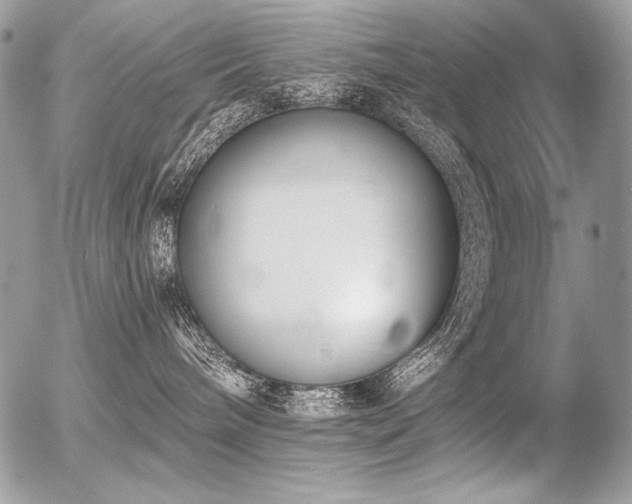 X0000056360240200508261345