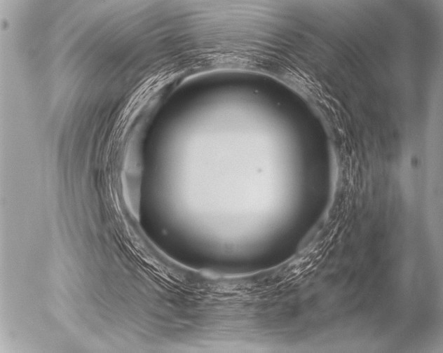 X0000056360241200508261344