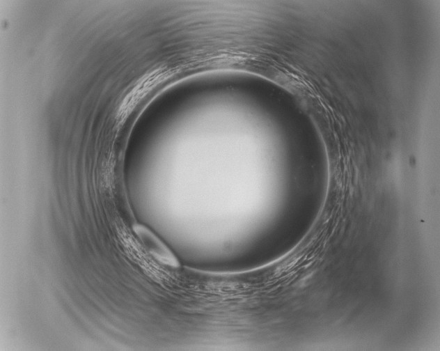 X0000056360242200508261344