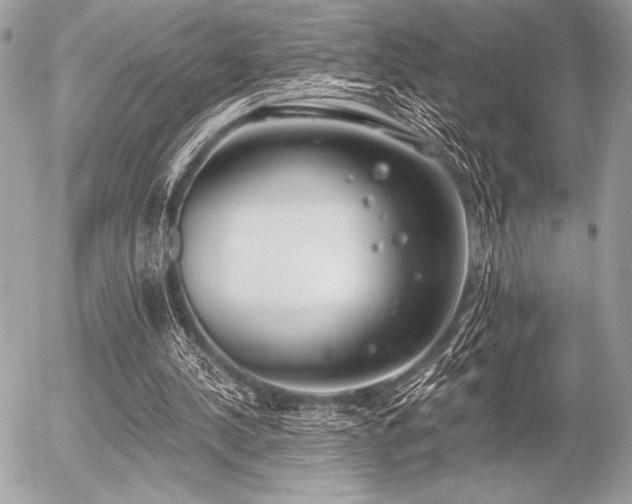 X0000056360244200508261344