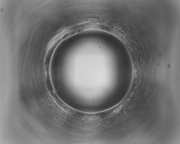 X0000056360245200508261344