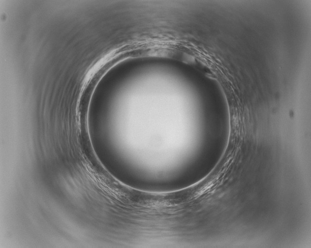 X0000056360246200508261344