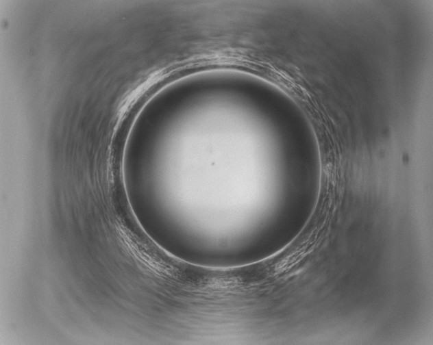 X0000056360248200508261344