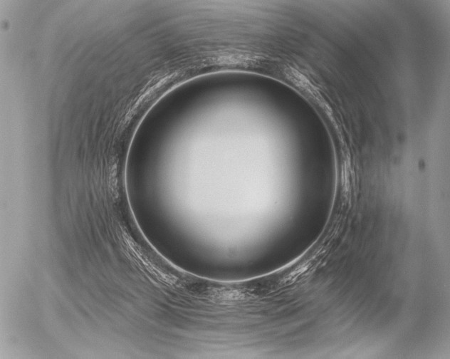 X0000056360249200508261344