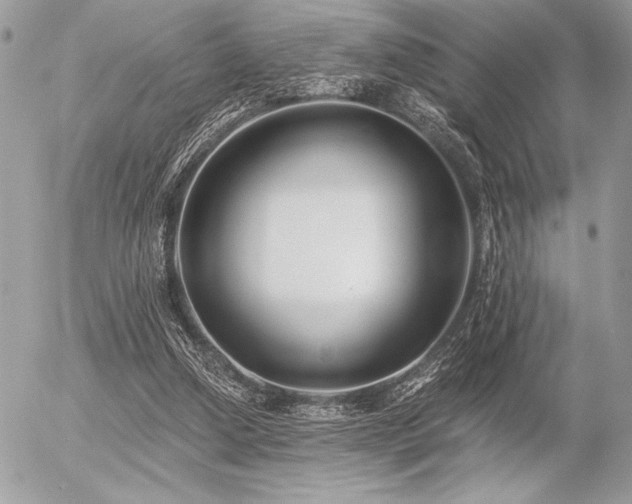 X0000056360250200508261344