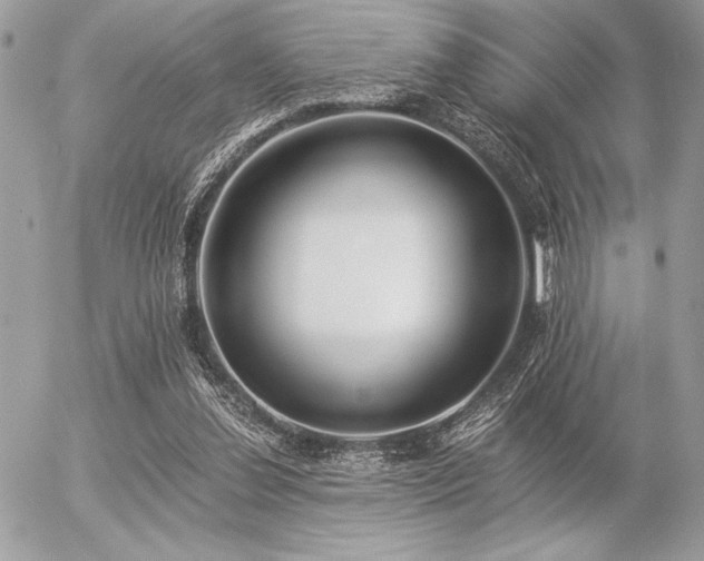 X0000056360252200508261344