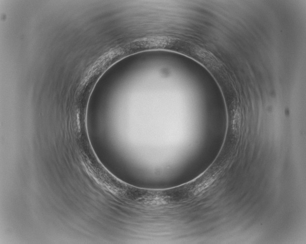 X0000056360254200508261344