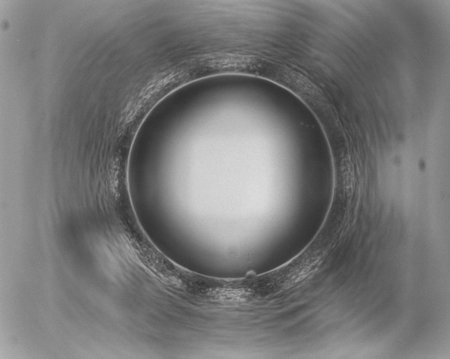 X0000056360255200508261345