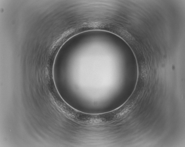 X0000056360256200508261345