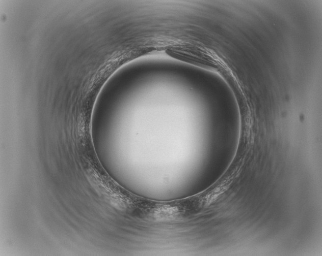 X0000056360257200508261345