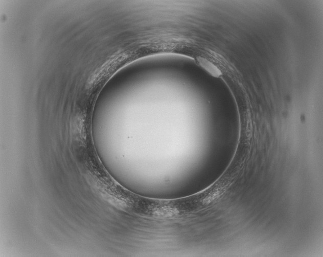 X0000056360258200508261345