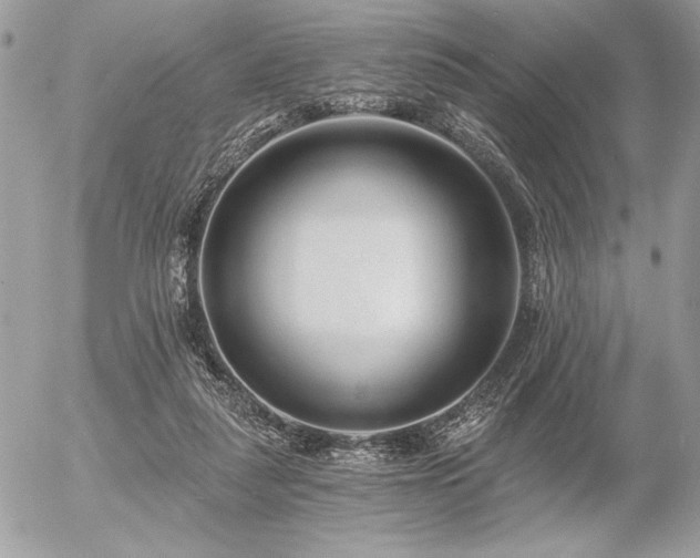 X0000056360259200508261345