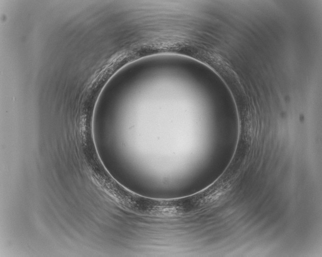 X0000056360260200508261345