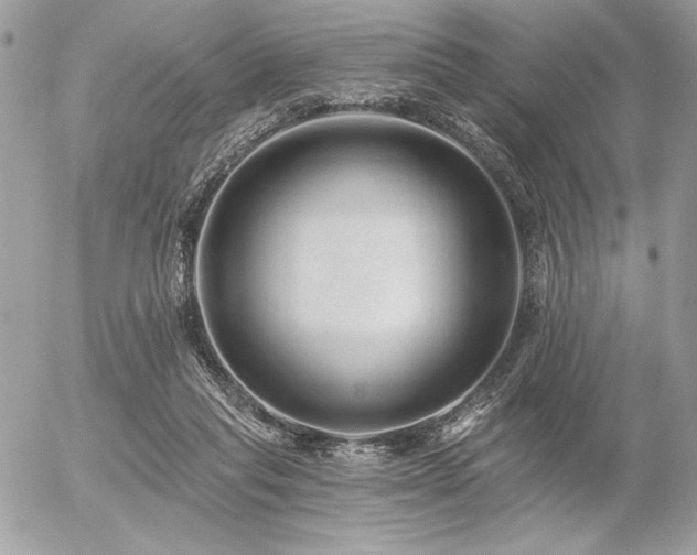 X0000056360261200508261345