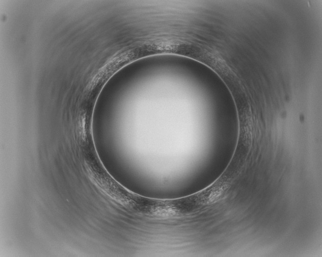 X0000056360262200508261345