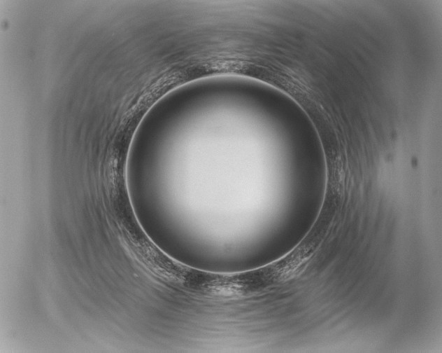 X0000056360263200508261345