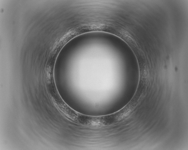 X0000056360264200508261345