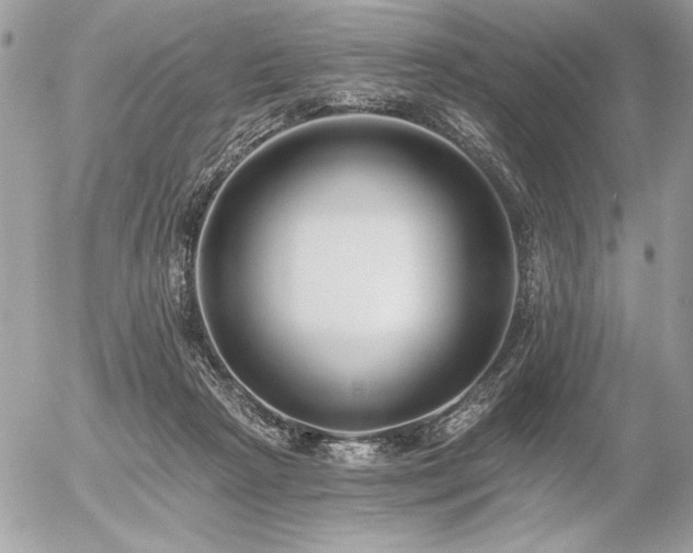 X0000056360265200508261345