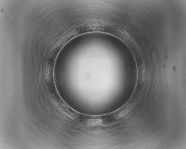 X0000056360266200508261345