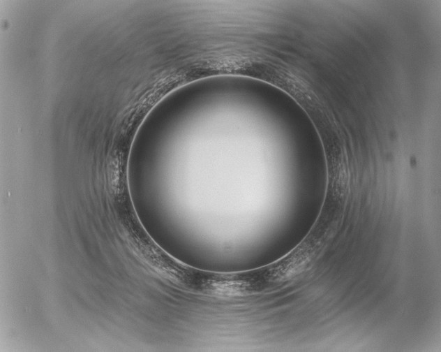 X0000056360268200508261345