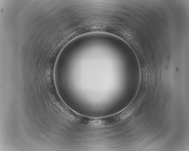 X0000056360269200508261345