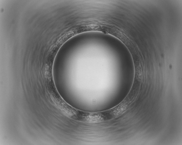 X0000056360270200508261345