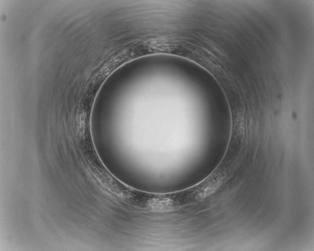 X0000056360271200508261345