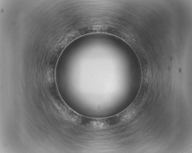 X0000056360272200508261345