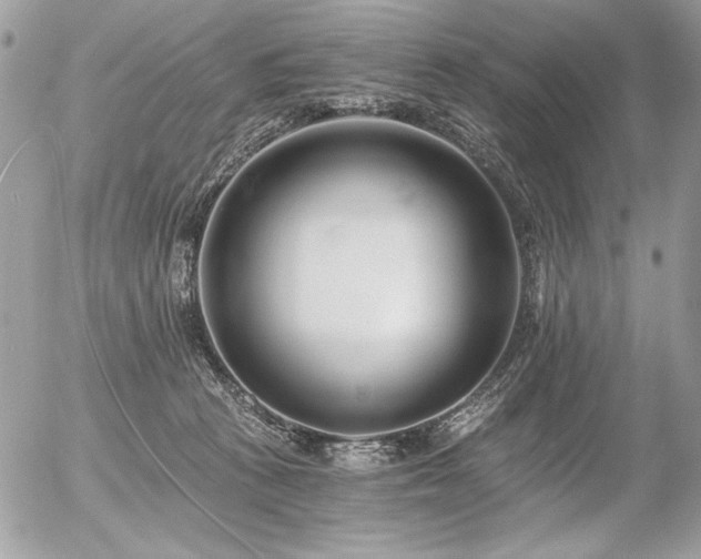 X0000056360273200508261345