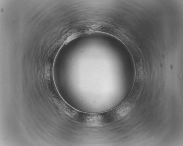 X0000056360274200508261345